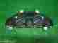 2432809 Gm 2014 Buick Enclave Oem