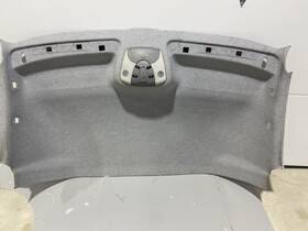 Borgers A9066903250 2007-2018 Mercedes-benz Sprinter W906 Front Roof Headliner Ceiling Cover Oem