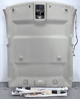 5ry65bd1ad Mopar 13-24 Ram 1500 2500 3500 Crew Cab Oem Headliner Ceiling Beige Speaker Light