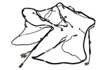 Genuine Gm Headliner Wiring Harness 23296221. Fixed Price $543.93.