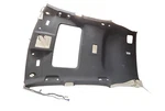 2015-2017 Lexus NX200T Roof Headliner Ceiling Panel Trim Cover Lining Oem. Fixed Price $799.99.