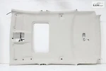 2018-2021 Ford Ecosport Overhead Roof Ceiling Headliner Panel Cover Oem. Fixed Price $507.77.