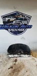 Speedometer Cluster Without Tachometer Mph Fits 00-02 Accent 881050. Fixed Price $85.00.