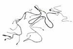 Genuine Gm Headlining Trim Panel Harness 84432337. Fixed Price $160.47.