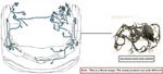 Equinox 2013 Engine Wire Harness 11215388. Fixed Price $200.00.
