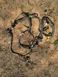 1988 Mazda Fc RX7 N/a Engine Harness. Fixed Price $150.00.