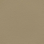 Gm Light Cashmere Leather Dye. Fixed Price $299.95.