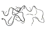 Genuine Gm F Harness 85077567. Fixed Price $185.73.