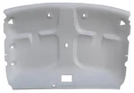 Jegs Abs Plastic Headliner 1993-1997 Ford Ranger Standard Cab Truck. Fixed Price $190.98.