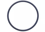 Genuine Gm Automatic Transmission Vehicle Speed Sensor Seal 15552872. Fixed Price $5.20.