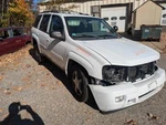Driver Left Sun Visor Without Illumination Fits 08-09 Envoy 175563. Fixed Price $35.00.