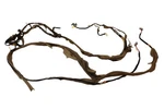 2018-2021 Kia Stinger Roof Overhead Headliner Wire Wiring Harness Cable Oem #95. Fixed Price $159.00.
