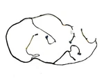 Roof Headliner Wire Wiring Harness 20965299 Fits 2012 Buick Regal 80091. Fixed Price $53.99.