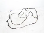 2017-2021 Tesla Model 3 Headliner Wire Harness Wiring 1067970-00-E REV05 Oem. Fixed Price $49.36.