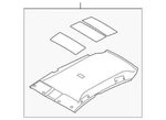 Genuine Nissan Headliner 739B0-ZN91A. Fixed Price $468.17.