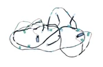 2019 Mazda CX-9 Upper Roof Headliner Room Light Lamp Wire Wiring Harness Oem. Fixed Price $78.36.